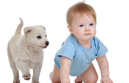 孩子喜歡模仿小狗，是心理有問題嗎？聽聽心理專家怎麼說 未分類 第4張