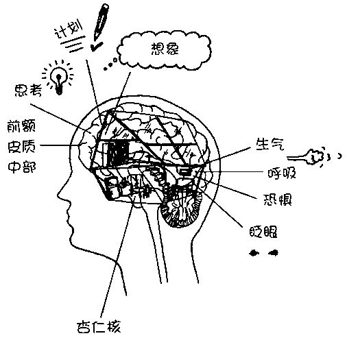 該如何搞定情緒失控的孩子？情感連接是關鍵 親子 第9張