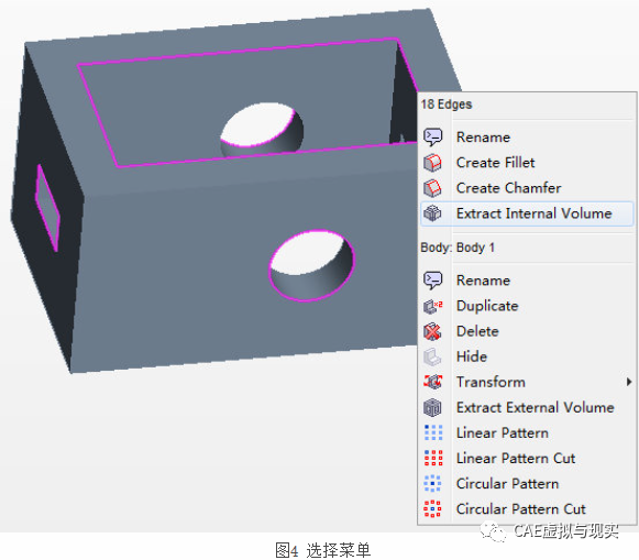 利用STAR CCM+进行流道抽取的图4