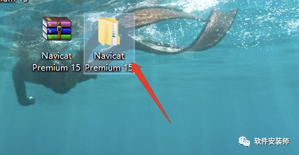 一款强大的数据库管理软件