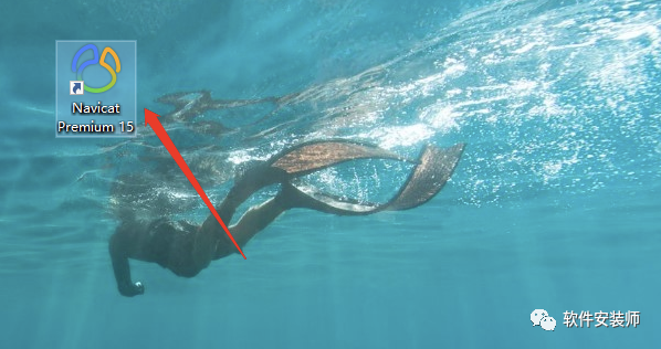 一款强大的数据库管理软件