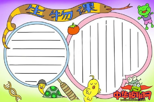 世间有蓝鲸的生物吗_世间生物蓝鲸有多大_蓝鲸是生物吗