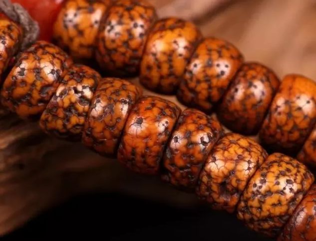 星月菩提盘出来的效果图_菩提星月盘玩方法_星月菩提设计