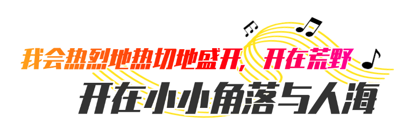 222.png