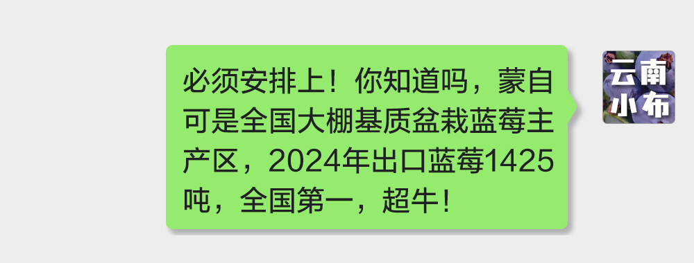 海味與果味，你更愛哪一味？