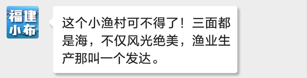 海味與果味，你更愛哪一味？