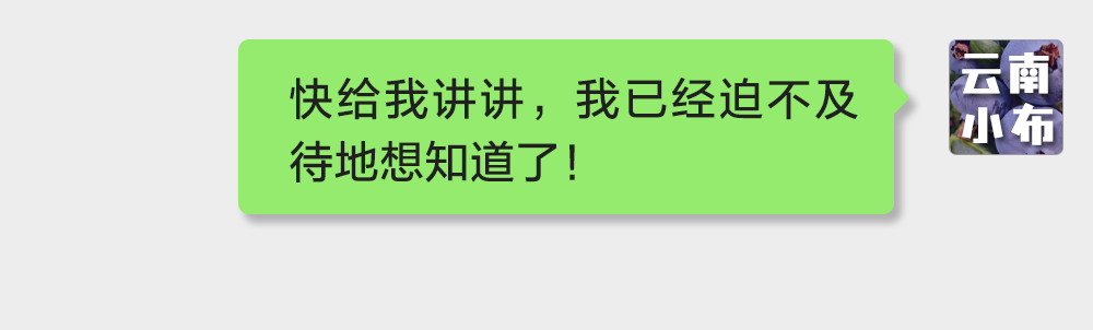 海味與果味，你更愛哪一味？