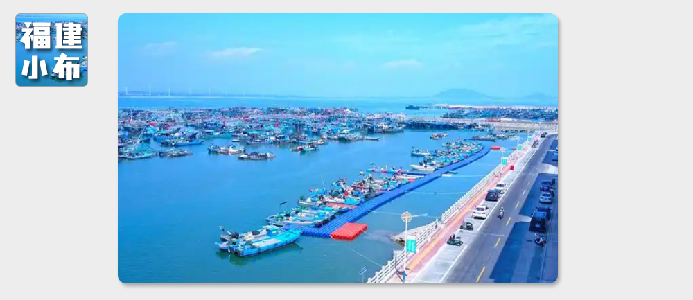 海味與果味，你更愛哪一味？