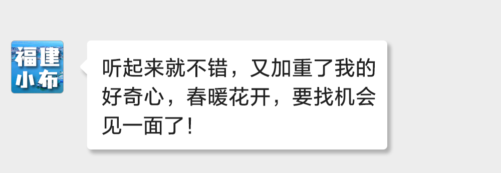 海味與果味，你更愛哪一味？