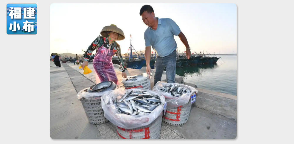 海味與果味，你更愛哪一味？
