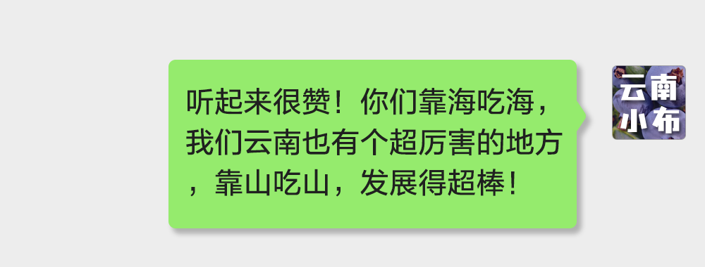 海味與果味，你更愛哪一味？