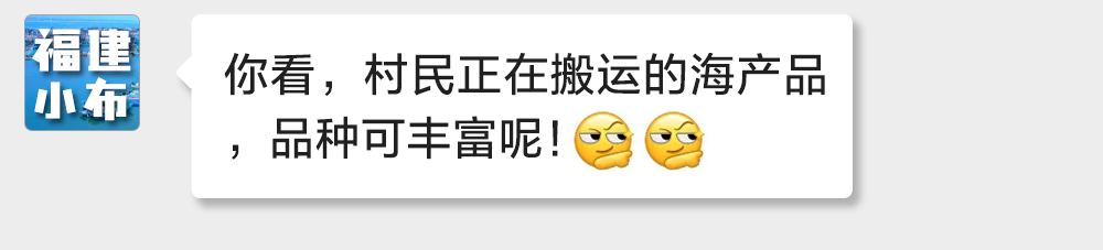 海味與果味，你更愛哪一味？