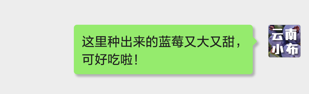 海味與果味，你更愛哪一味？