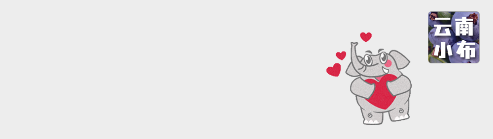 海味與果味，你更愛哪一味？