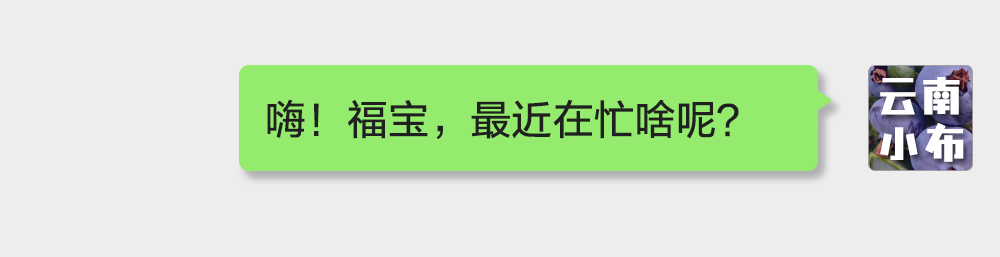 海味與果味，你更愛哪一味？