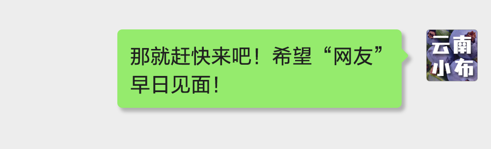 海味與果味，你更愛哪一味？