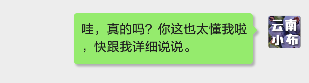 海味與果味，你更愛哪一味？