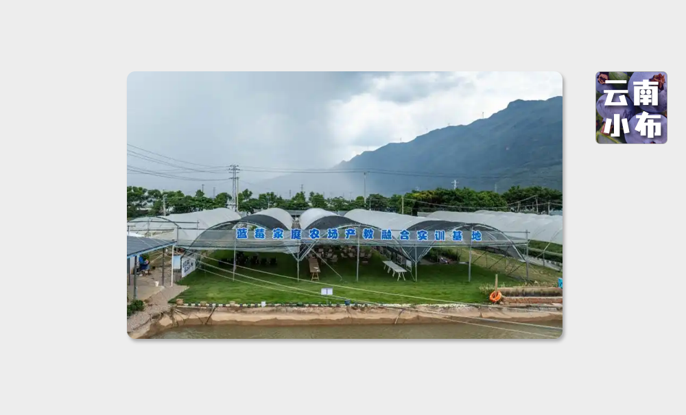 海味與果味，你更愛哪一味？