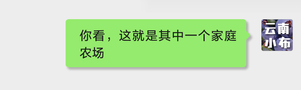 海味與果味，你更愛哪一味？