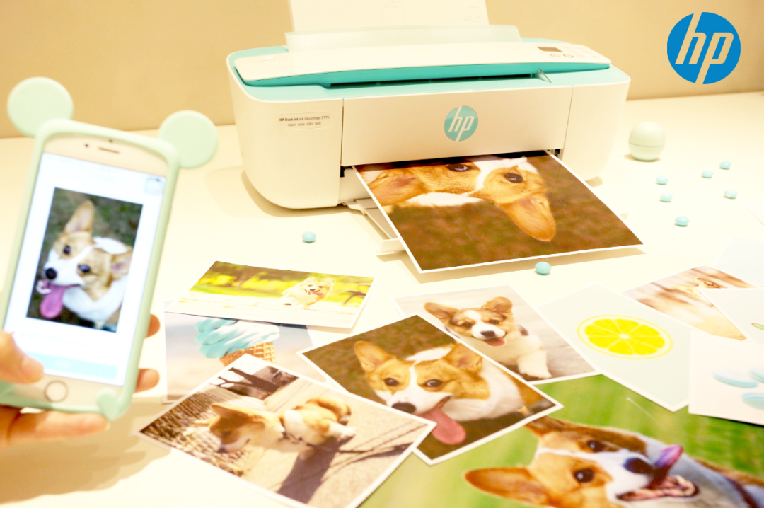 hp打印机客服技术支持电话_hp打印机客服_hp打印机服务热线