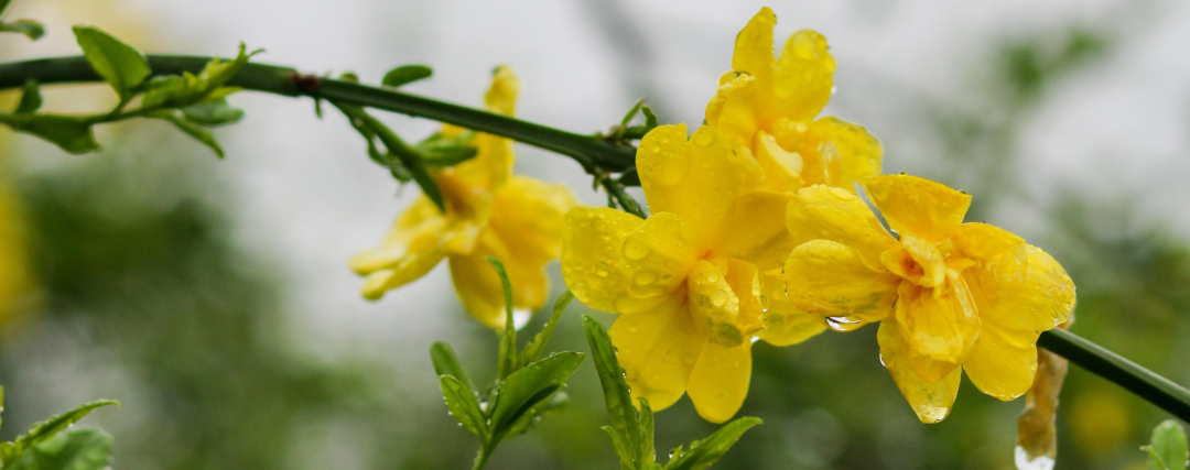 s型拉勾怎么拿高考倒计时30天 ｜ 拉勾！_https://www.jmylbn.com_新闻资讯_第36张