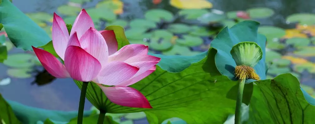 s型拉勾怎么拿高考倒计时30天 ｜ 拉勾！_https://www.jmylbn.com_新闻资讯_第37张