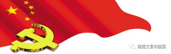 【中庙动态】白龙江畔党旗飘——中庙镇组织党员群众全力开展防汛抢险