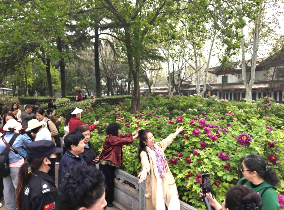 微信图片_2026-04-06_214234_438.png