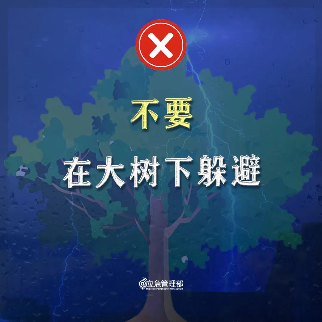 长江云新闻