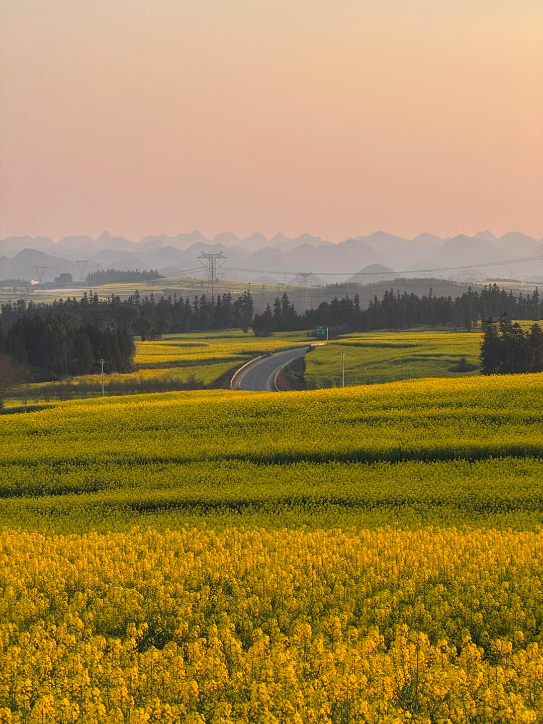3月最佳旅行地 | 7元嗦粉、5元坐船、0元看花海，中国有的是好看又好吃的地方！