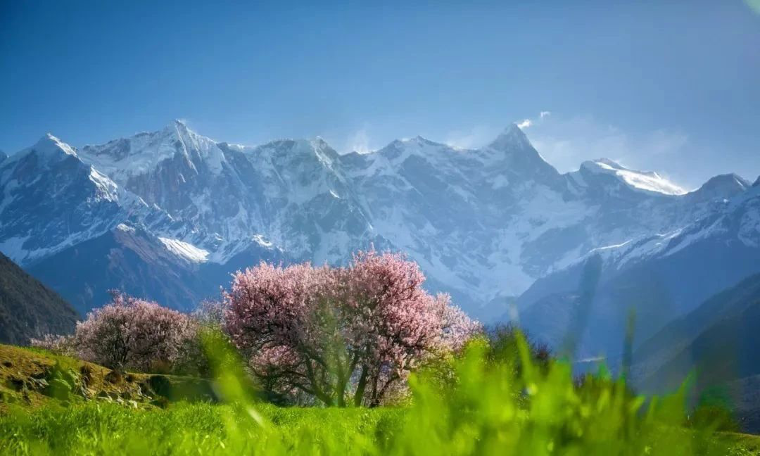 别去三亚挤了！清明拼假6天，我私藏的宝藏小城好吃到飞起，美到失语！