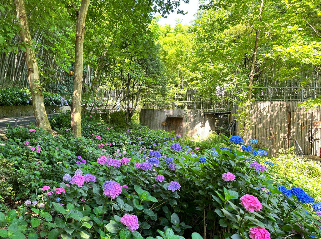 终于找到一个地方，温泉入户，包邮区3小时就能到！