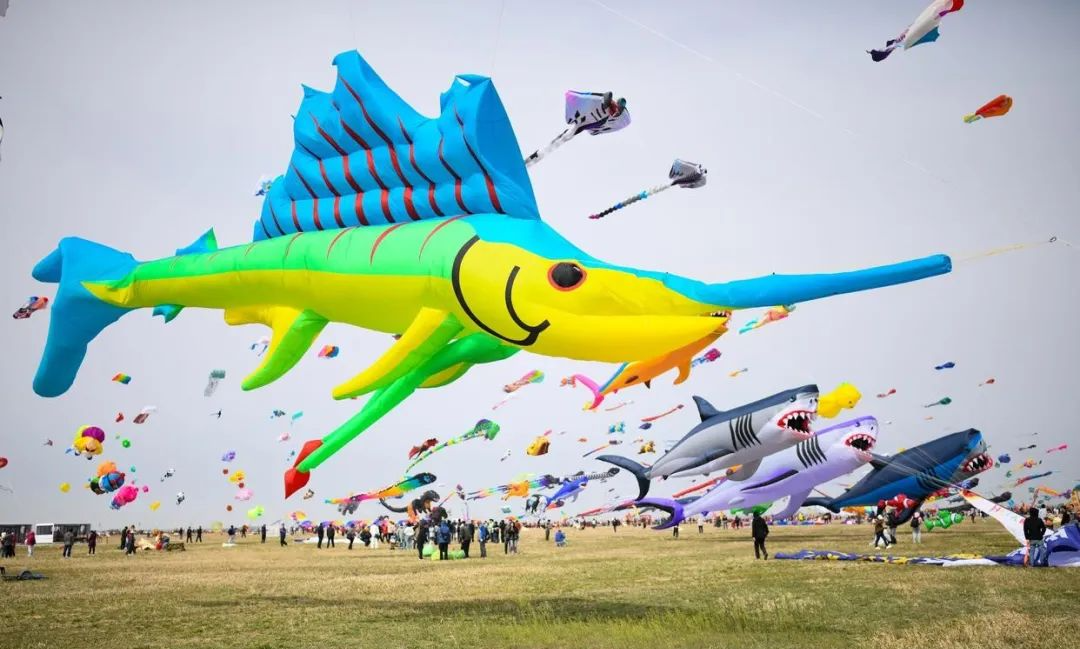 4月春假旅行榜｜挖到被低估的小城，春色比扬州更撩，钻进紫蓝色花海被治愈！