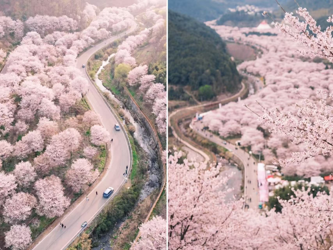 别去三亚挤了！清明拼假6天，我私藏的宝藏小城好吃到飞起，美到失语！