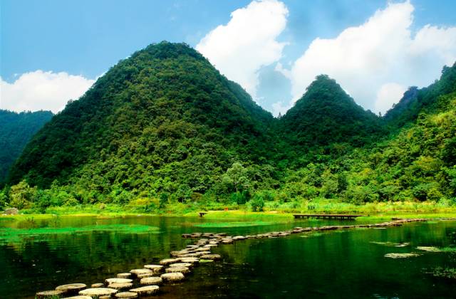 非遺猴鼓舞亮相西旅會 觀眾大呼一定要到荔波旅遊!