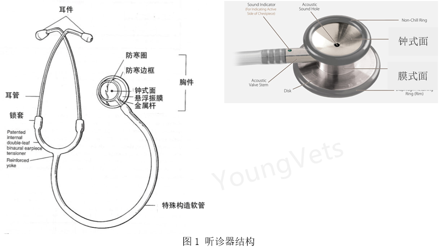 听诊器怎么使用心脏病专栏 ｜ 听诊技巧（上）_https://www.jmylbn.com_新闻资讯_第1张