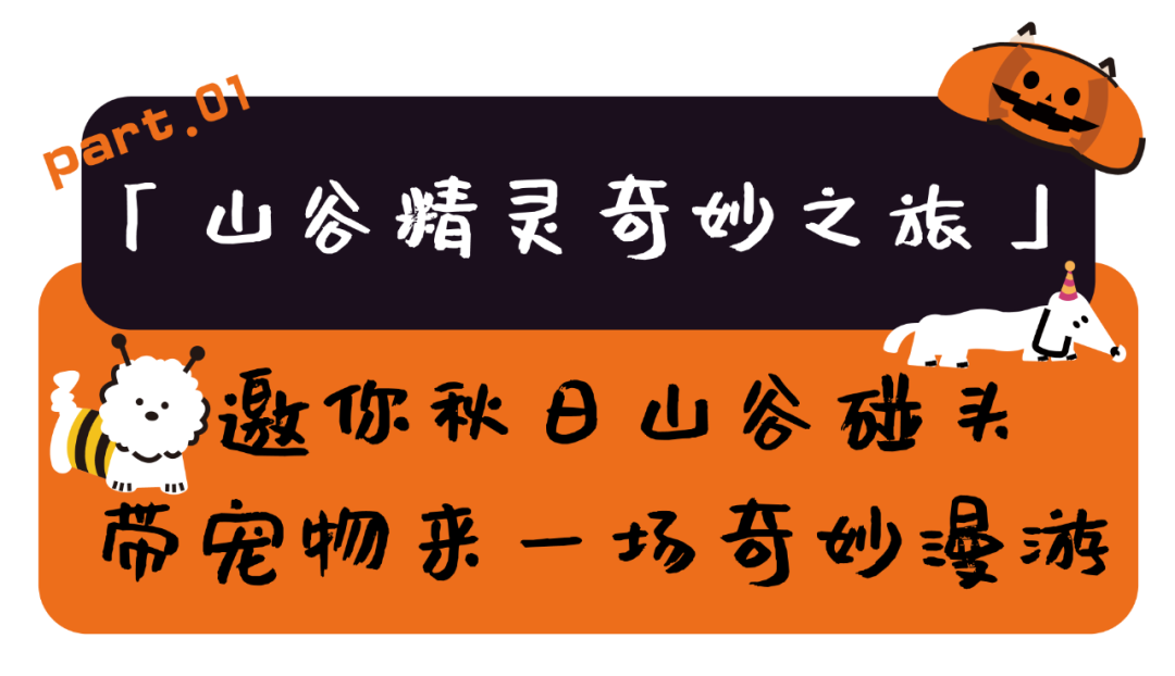 奇妙精灵怎么用来阿那亚·金山岭，与100只“小狗鬼”共度山谷精灵奇妙之旅_https://www.jmylbn.com_新闻资讯_第3张