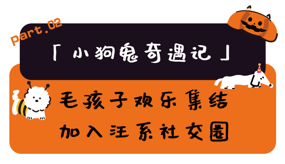 奇妙精灵怎么用来阿那亚·金山岭，与100只“小狗鬼”共度山谷精灵奇妙之旅_https://www.jmylbn.com_新闻资讯_第8张