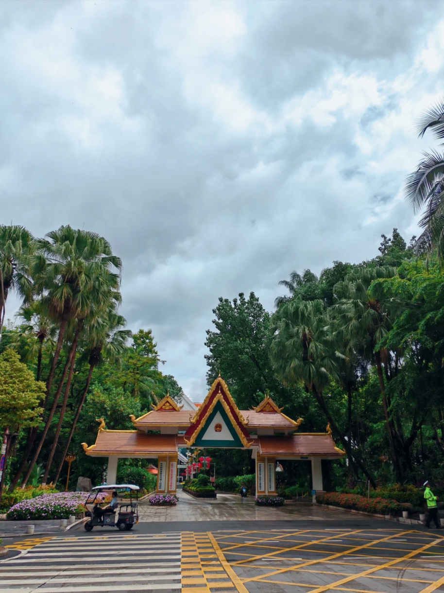 西双版纳绿城春江明月公交线路开始运行,就在家门口,更方便了