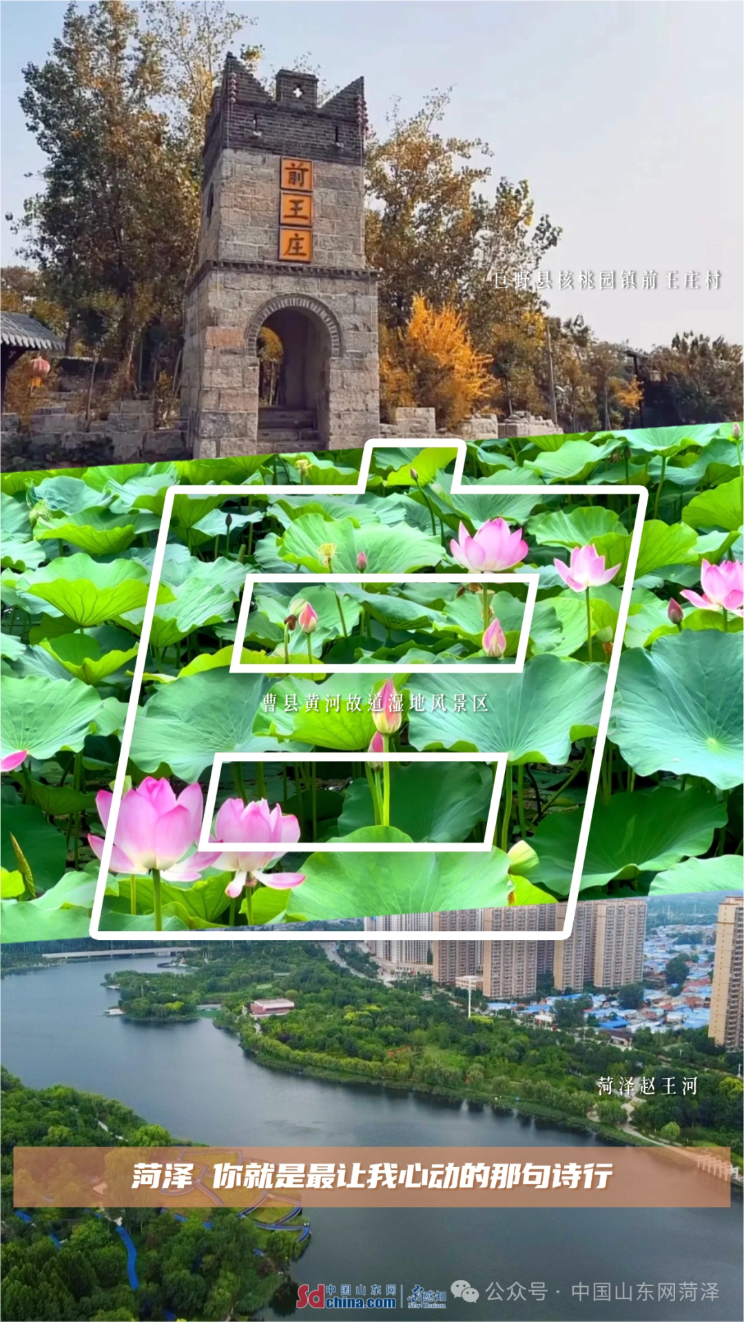 此刻，我们对菏泽告白！