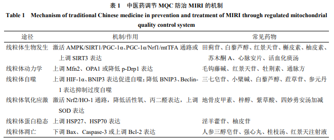 怎么销售透化治疗系统中医药靶向调控线粒体质量控制系统治疗心肌缺血再灌注损伤研究进展_https://www.jmylbn.com_新闻资讯_第4张