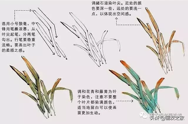 写意水仙的画法步骤详解 全网搜