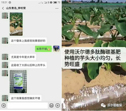 “菌肥”价格贵?看这里,花一份钱,享受有机肥+微生物菌肥的双重功效! “菌肥”价格贵?看这里,花一份钱,享受有机肥+微生物菌肥的双重功效!