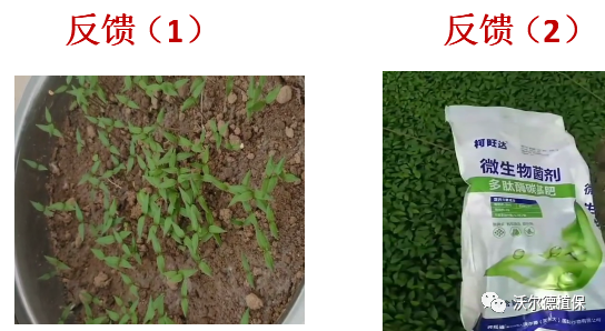 “菌肥”价格贵?看这里,花一份钱,享受有机肥+微生物菌肥的双重功效! “菌肥”价格贵?看这里,花一份钱,享受有机肥+微生物菌肥的双重功效!