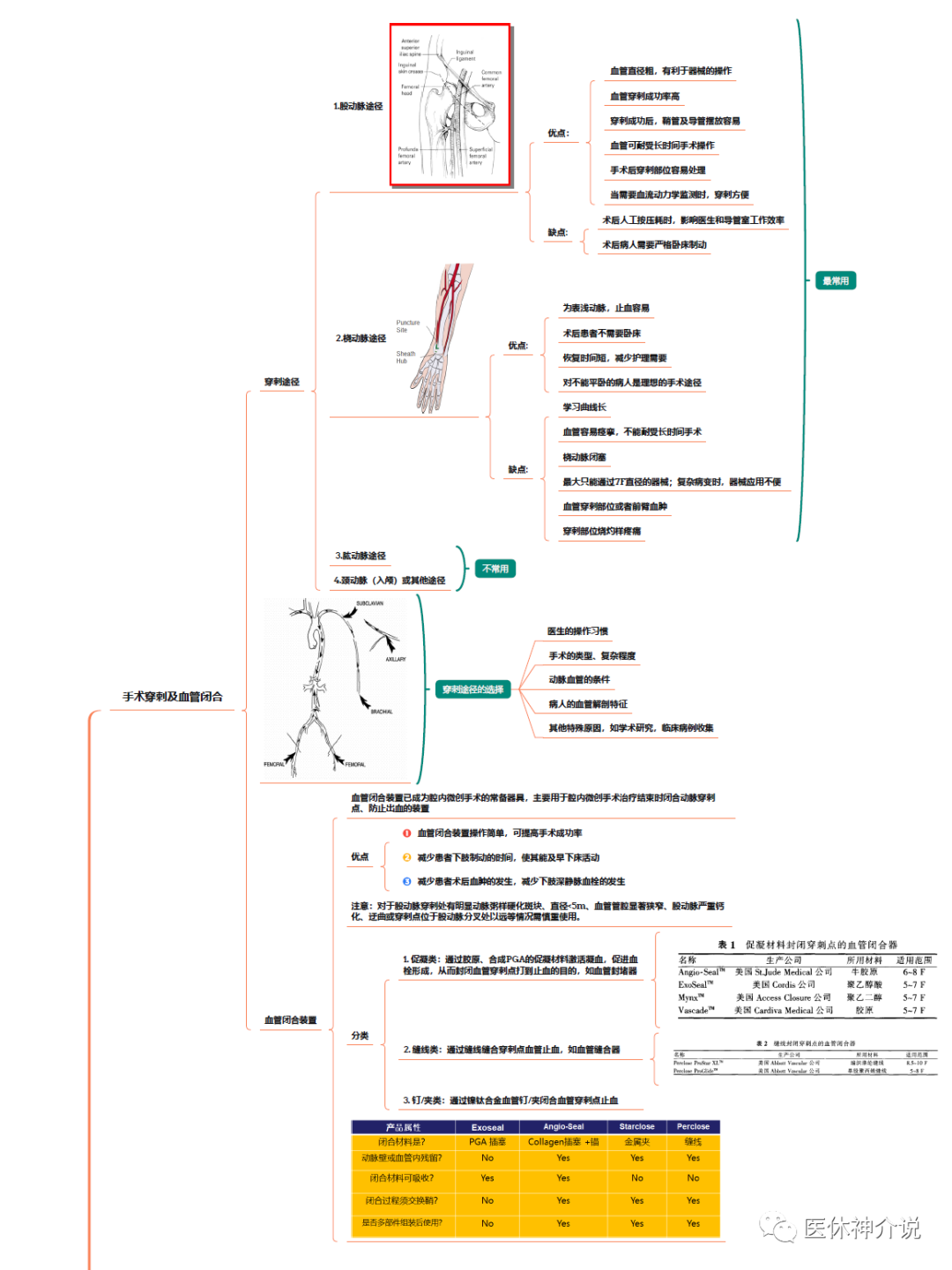 动脉什么压迫止血这些穿刺压迫方法你都会了吗？_https://www.jmylbn.com_新闻资讯_第4张