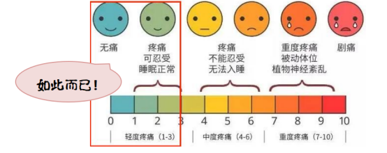 妇科检查用什么仪器“女性人体照相机？”这台仪器为宫颈检查带来福音！_https://www.jmylbn.com_新闻资讯_第6张