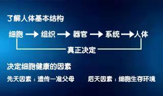 张大春健康观念：人为什么会生病？如果每个病人都明白这个道理那