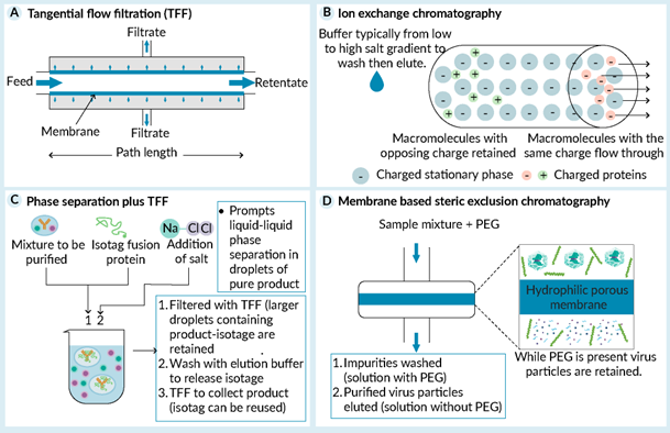 微信图片_20230203091408
