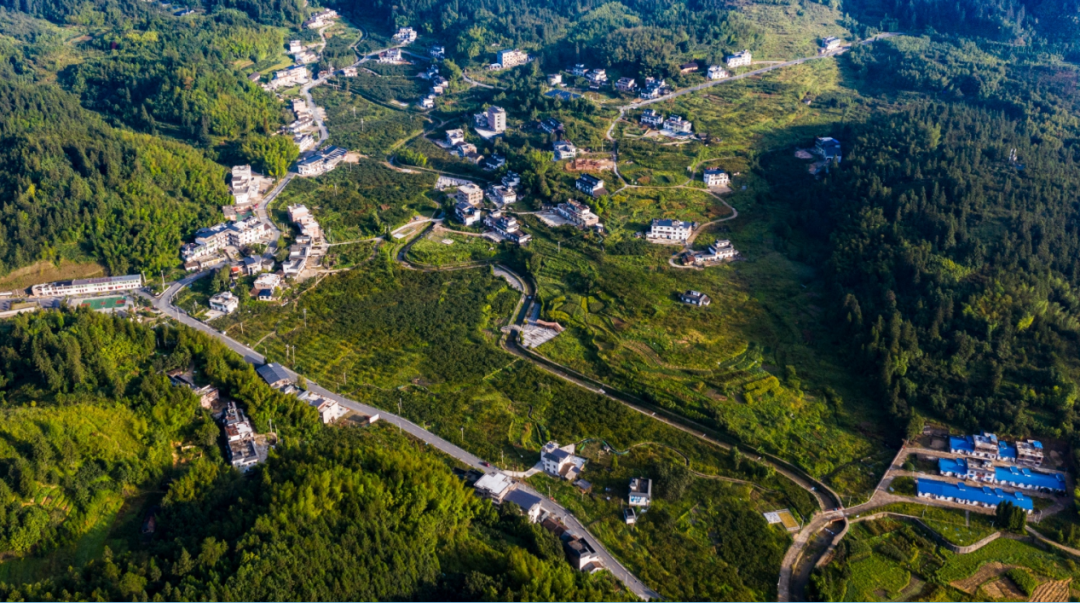 避暑去哪236的青竹村在等你这份游玩指南请查收青竹之游