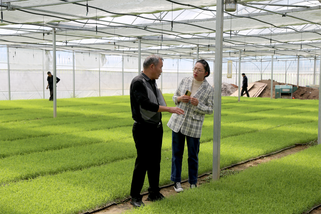 慈利县有位农学女博士田间地头玩转短视频专讲农业技术知识